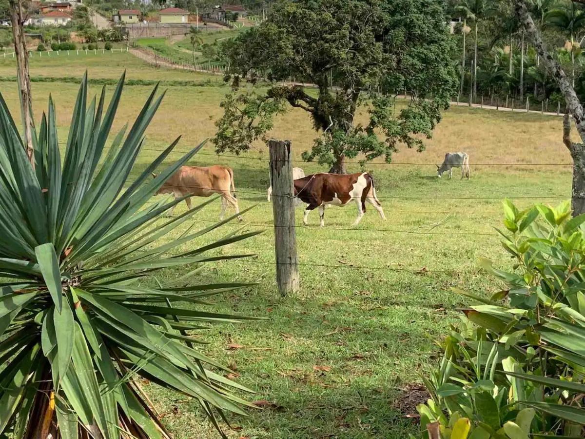 Sitio Canta Galo Governador Celso Ramos Luaran gambar